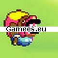 Mario DS SWF Game