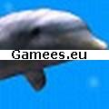 Dolphin SWF Game